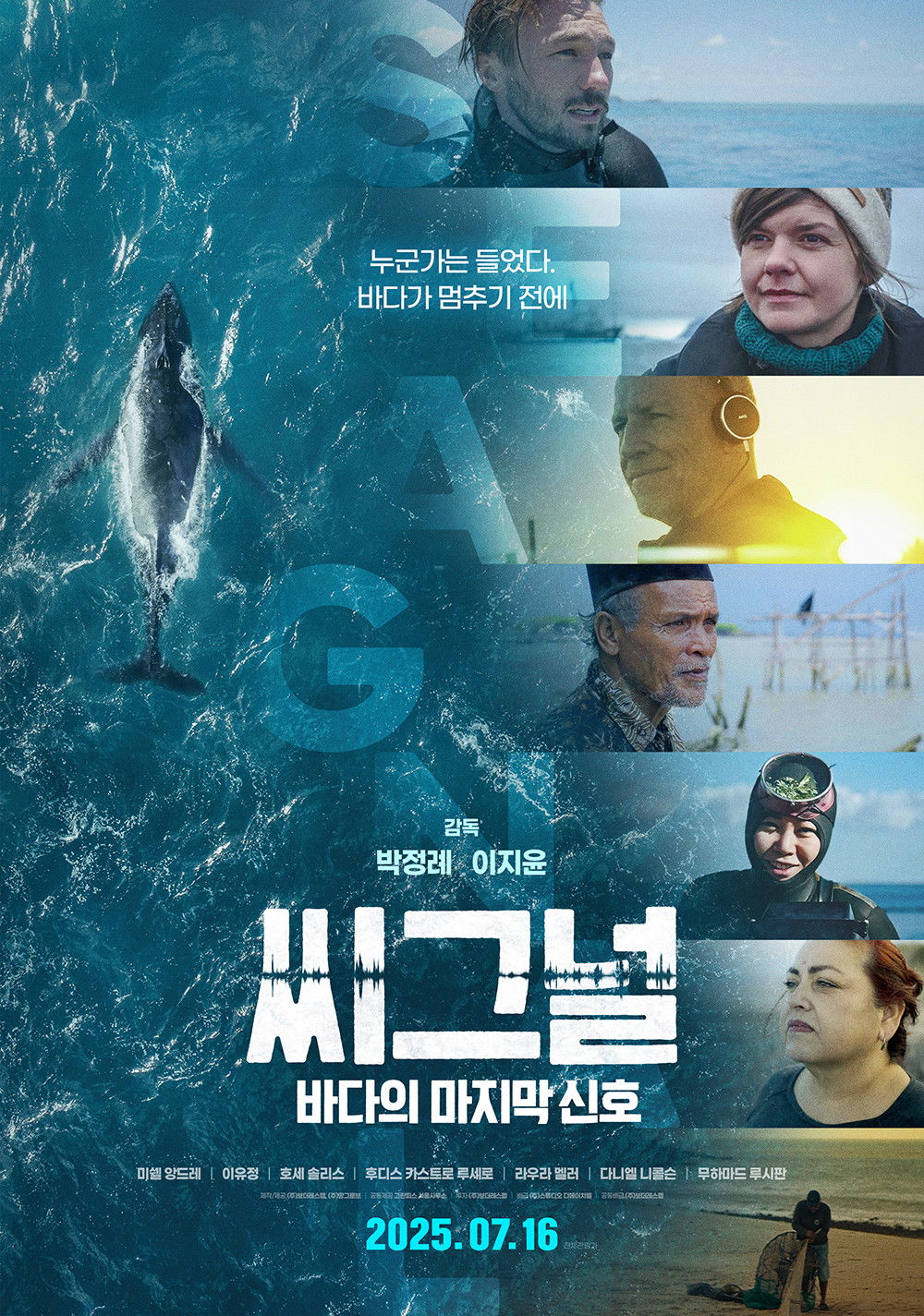 씨그널: 바다의 마지막 신호 - 전문가 심층 리뷰 및 관람 포인트 1 ciaf1aoiUwzpL8hTfeY53or14LV